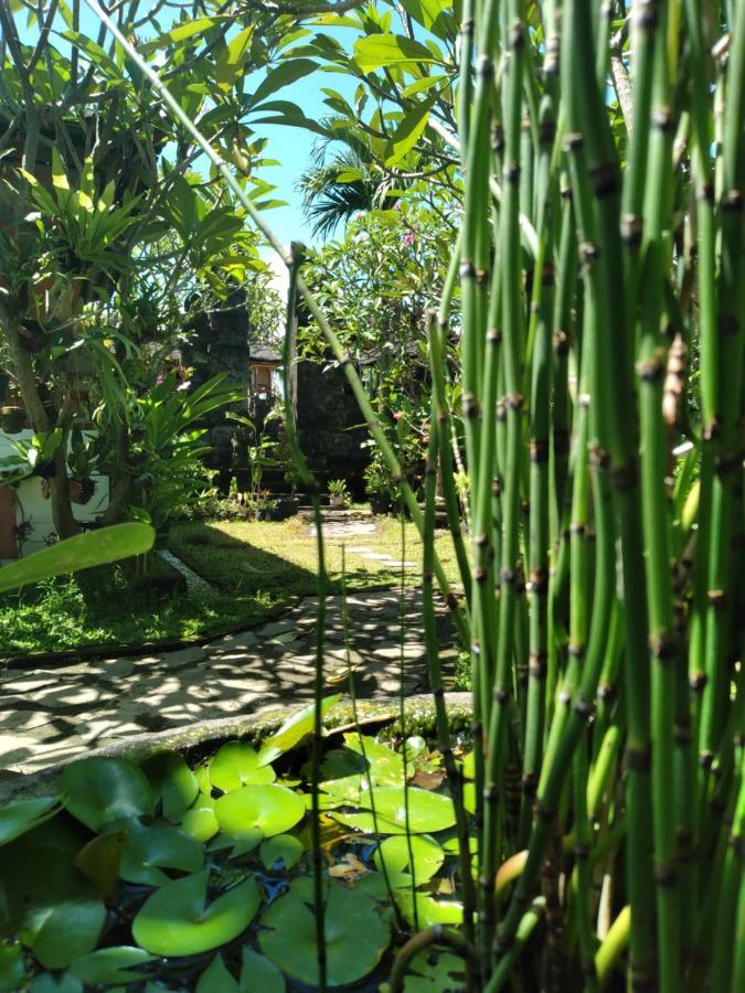 Serongga Guest House Lebih ภายนอก รูปภาพ