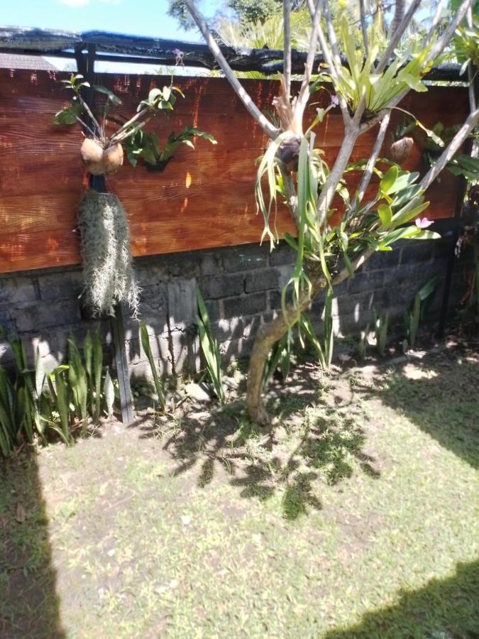 Serongga Guest House Lebih ภายนอก รูปภาพ