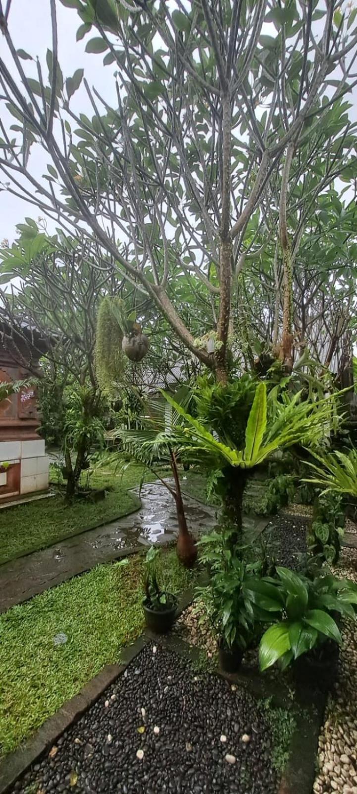 Serongga Guest House Lebih ภายนอก รูปภาพ